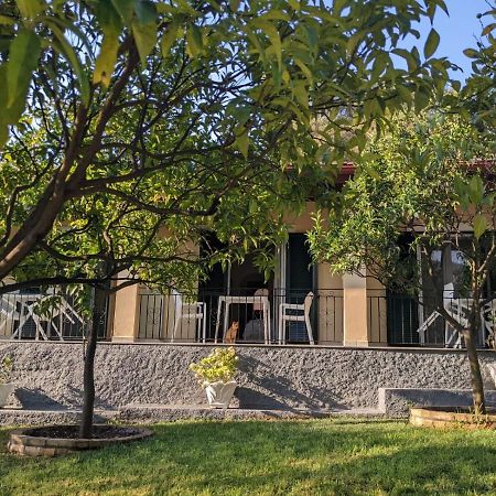 Villa Eleni - Studios Льяпадес Екстер'єр фото